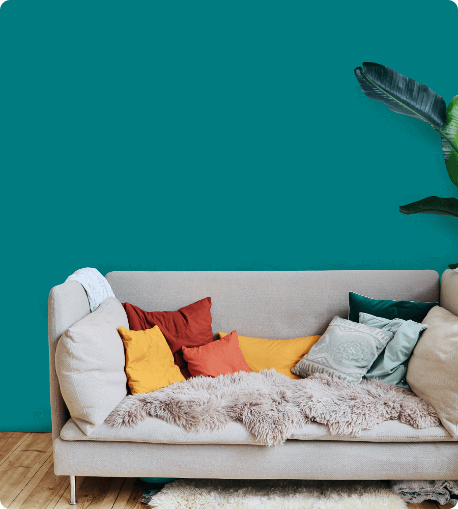 home furniture with teal wall and plant
